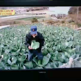 消されました。の画像