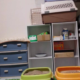 猫の目線高での映像はどうかなぁ？の画像