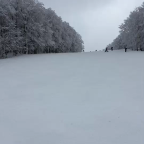 10日八甲田練習の画像