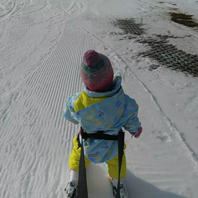 滑走補助具の画像