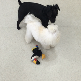 ♪プレイルーム動画♪の画像