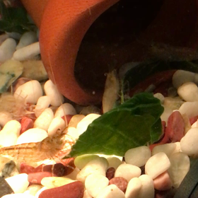 ミナミヌマエビの食事(動画)の画像