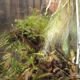 ダメやね(笑)の画像