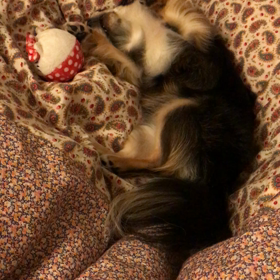 寝ようとすると元気になるの画像