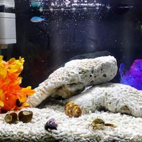 小さな海の画像