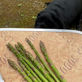 新鮮なアスパラを食べるの画像