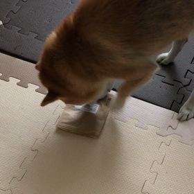 くれっくれっくれっの画像