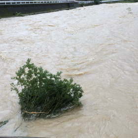 大切な家の画像