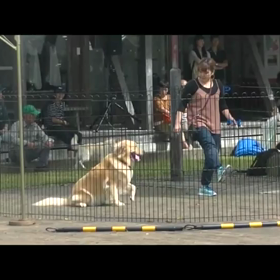 こじろう君と愛護フェスの画像