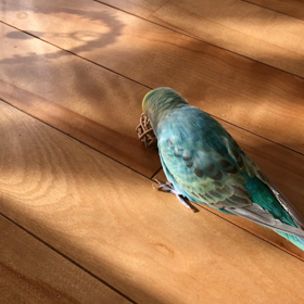 今年もあと僅かですねの画像