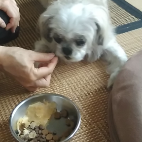 一粒づつ良く噛んでの画像