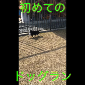 専務の初体験！の画像