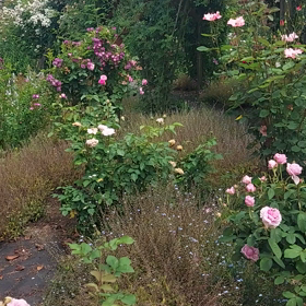 動画で少し載せますね♪の画像