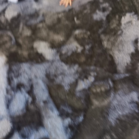 日々成長の画像