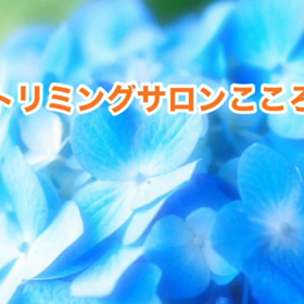 スライドショーの画像