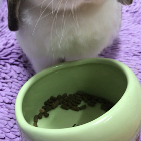 ただ今朝ご飯中の画像