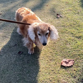 歩けることに感謝！の画像