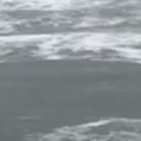 今朝の波乗り自撮り動画より、、、の画像