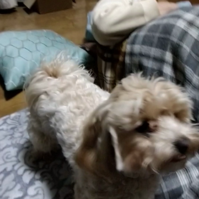 ナイスキャッチの画像