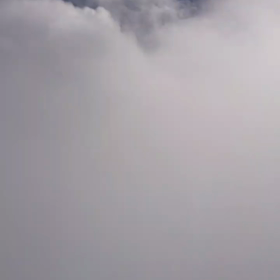 今更に去年の話(笑)幻想的だから見てねの画像