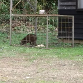 先週のことの画像