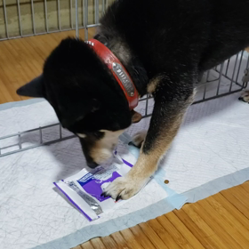 美味しい(・_・?)の画像