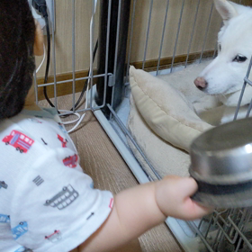 色々ありまして〜の画像