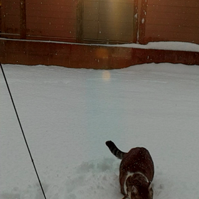 出て来たな！副作用君の画像