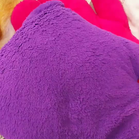 寝方、寝言の画像