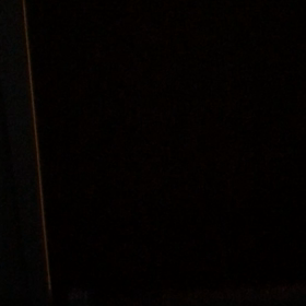 目覚まし犬の画像