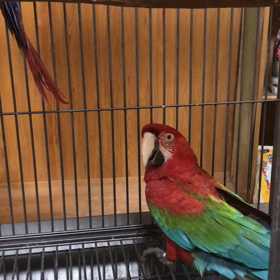 お買い得の画像