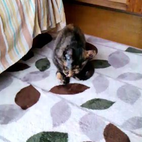 あ～美味しかった♪の画像