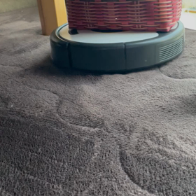 ルンバルンバの画像