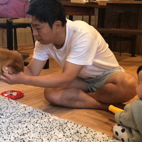 犬と赤ちゃんが仲良くなっていく過程の画像