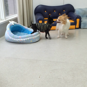 ♪プレイルーム動画♪①の画像