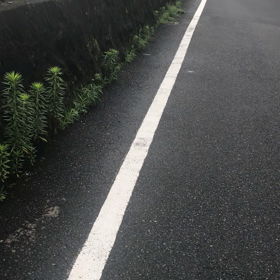 大変危険な道路！JR八王子駅北口側、セレオにの画像