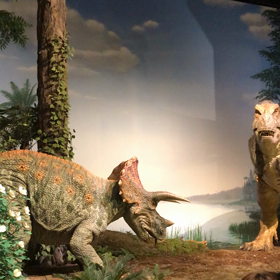 恋活パーティーつくば同世代趣味コンの画像