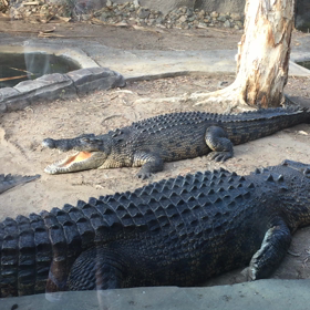 【動画】わかんねー！wwwの画像