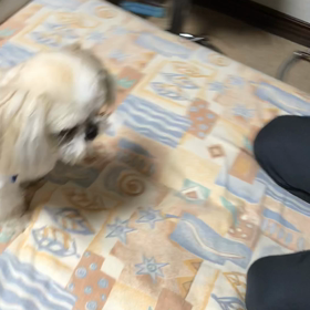 真剣白刃取りの画像