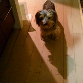 くうちゃんこっちきて❤の画像