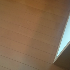 アンディのいびきの画像