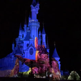 ディズニーランドパリ 　 イルミネーションズ ✧*｡✧*｡の画像