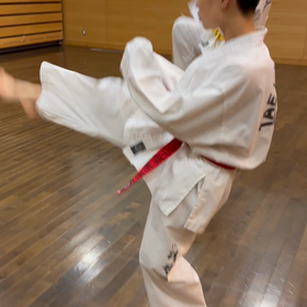 11/20わらび道場成年稽古動画の画像