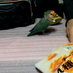 こんばんはの画像