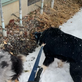 ひるんぽ？の画像