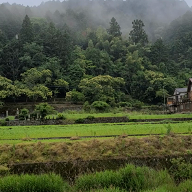 雨が好きの画像