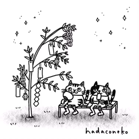 七夕の夜に星空の下で黄昏てる猫たちの画像