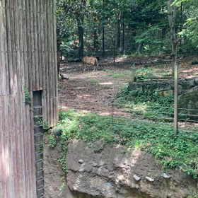 お空も泣いてるよ〜の画像