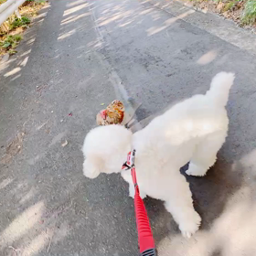 トムとジェリー☆の画像