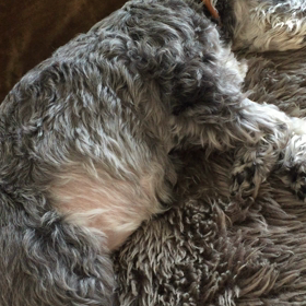 一年前の呼吸の画像